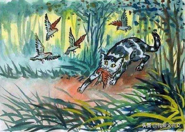 经典文言文赏析 | 猫捕雀