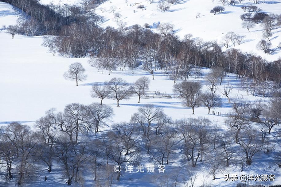 记忆里最美的冬日雪景，或许还是那片幽静美丽的白桦林