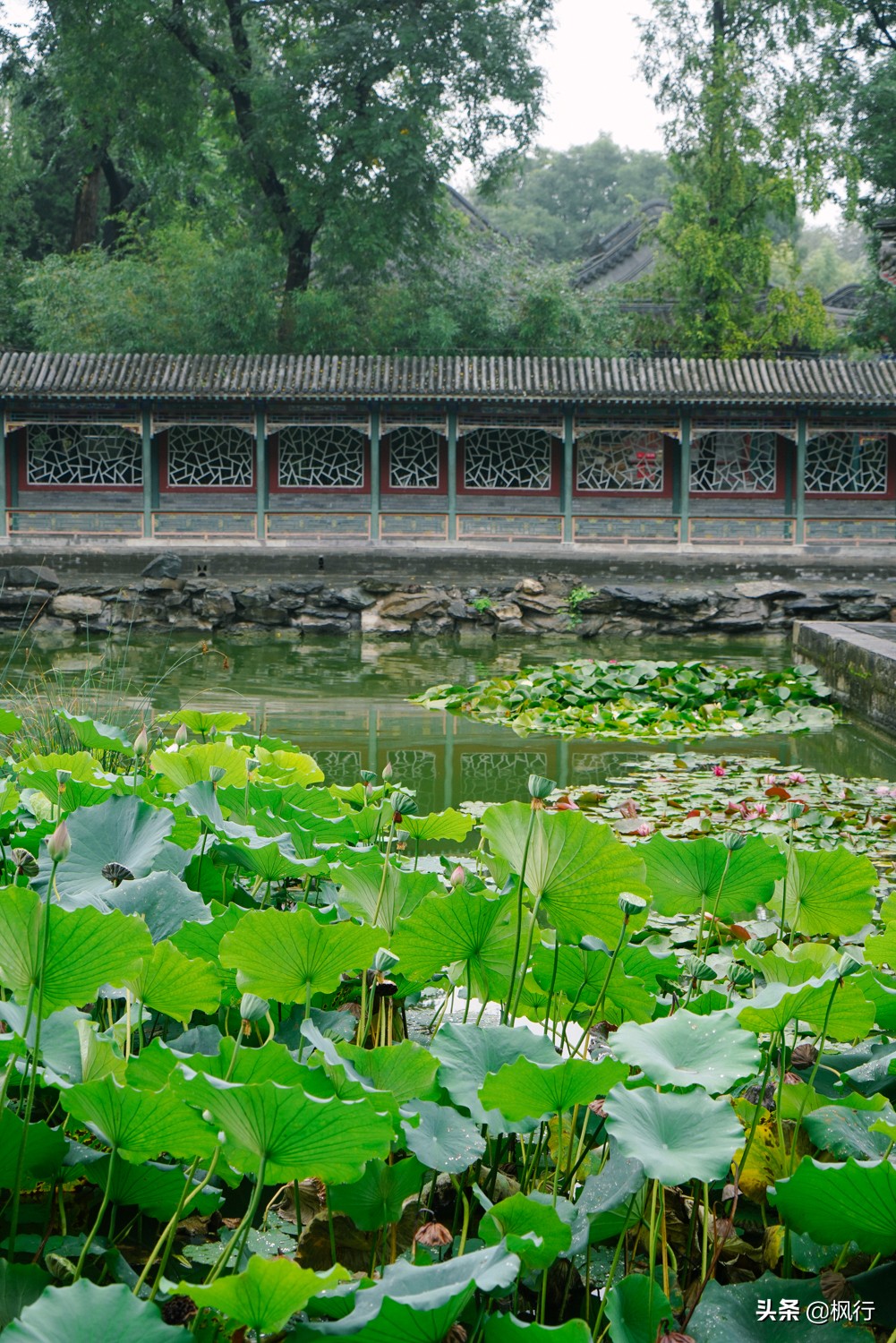 很多人會以為,中國只有南方會建造私家園林,其實並非如此.