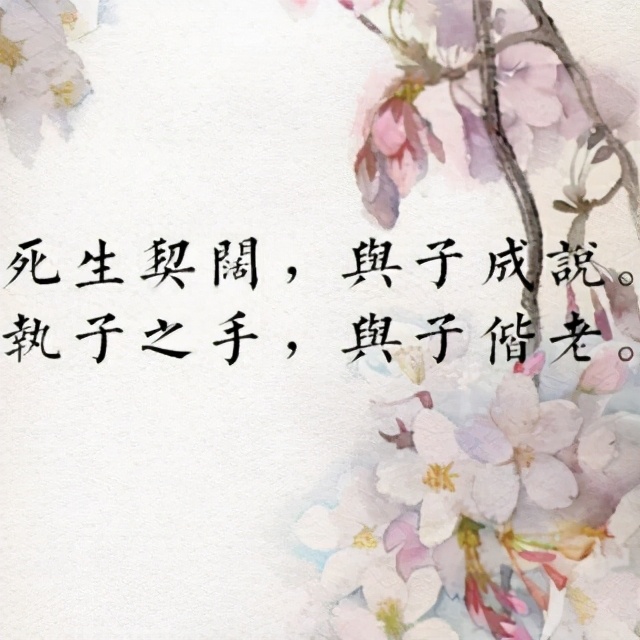 大家好,跟大家分享个八字成语"执子之手,与子偕老",它的原意可不是