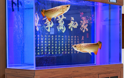 客户公司乔迁送什么礼物比较好（客户公司乔迁之喜送什么礼物好）
