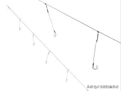 夏季河流野钓草鱼——海竿串钩篇！新钓友们可以参考一下
