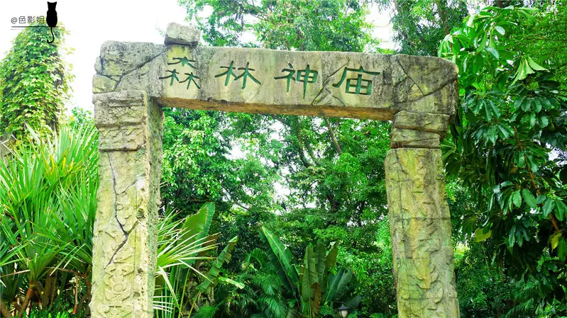 长隆欢乐世界旅游攻略景点必去（三天三夜欢乐长隆之旅）