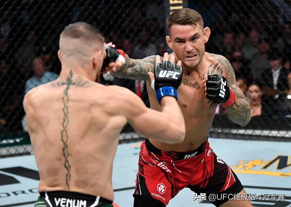 UFC264后记 | 相信的力量