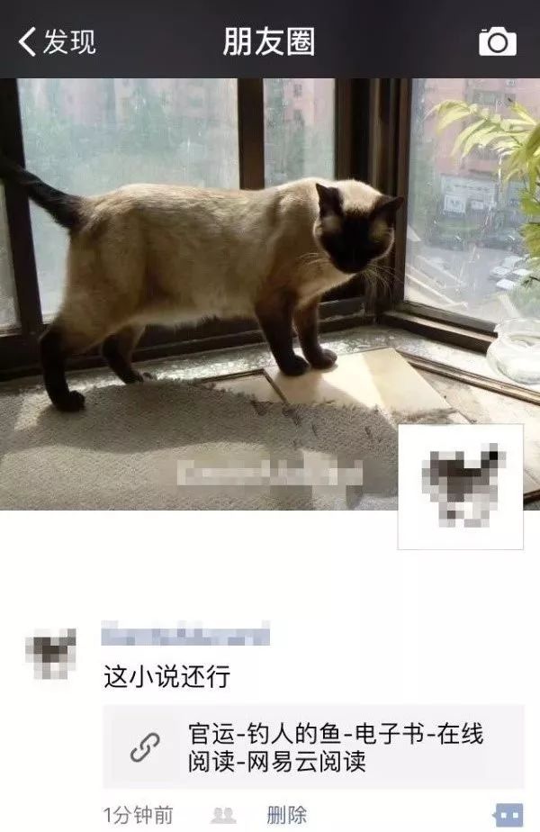 如何操作小说分销项目月赚2万