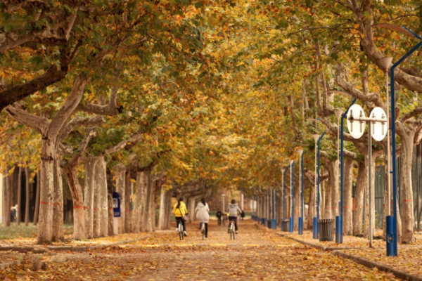 喜大普奔！浙江迎来4所公办大学，分数线不高，2022届考生可留意