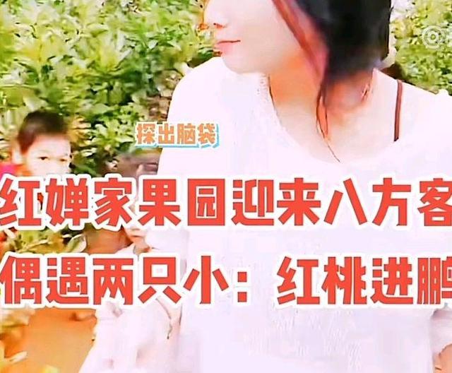 全红婵1家4口干活曝光！妹妹弟弟很忙，妈妈开心笑了老爸端坐休息