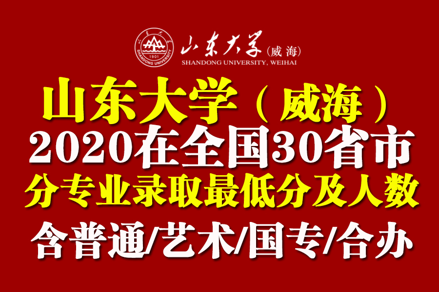 山东大学（威海）2020全国各省各批分专业录取分数+人数