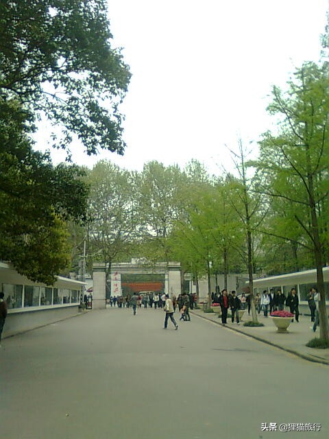 百年名校南京大学一日游，八年前的老照片带你回忆南大
