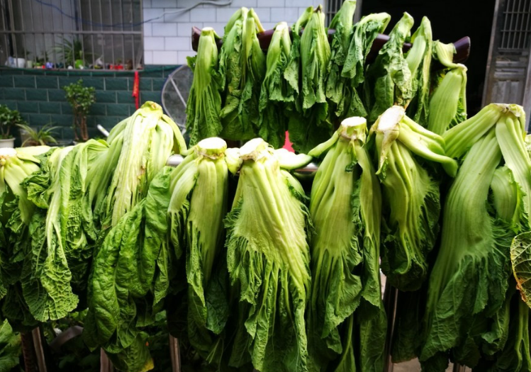 怎么制作呢,简单来说一下:大叶青菜萝卜菜马齿觅湘西外婆菜大多数都是