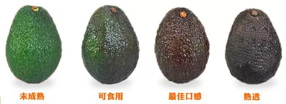 清除体内多余胆固物,牛油果品质非凡