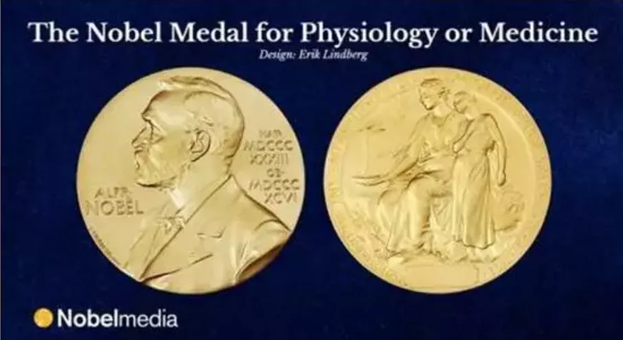诺贝尔生理学或医学奖颁发给分子生物学，感受器“突出重围”
