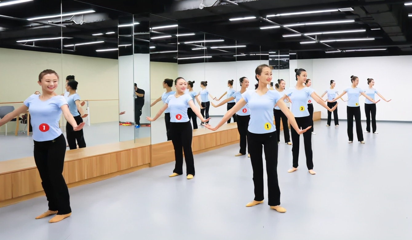 北京地区4-6级海内外高级教师培训精彩呈现