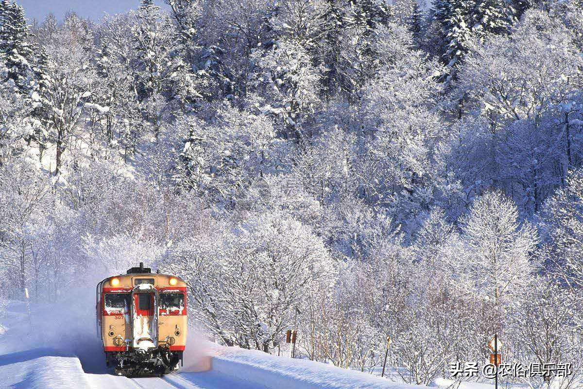 冬至晴一天，春节雨雪连！干净冬，必脏年！用农俗预测天气准不准