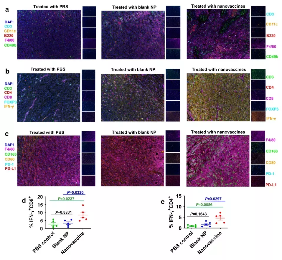 苏州大学用癌细胞重组纳米疫苗，8只受试鼠全部实现肺癌预防痊愈