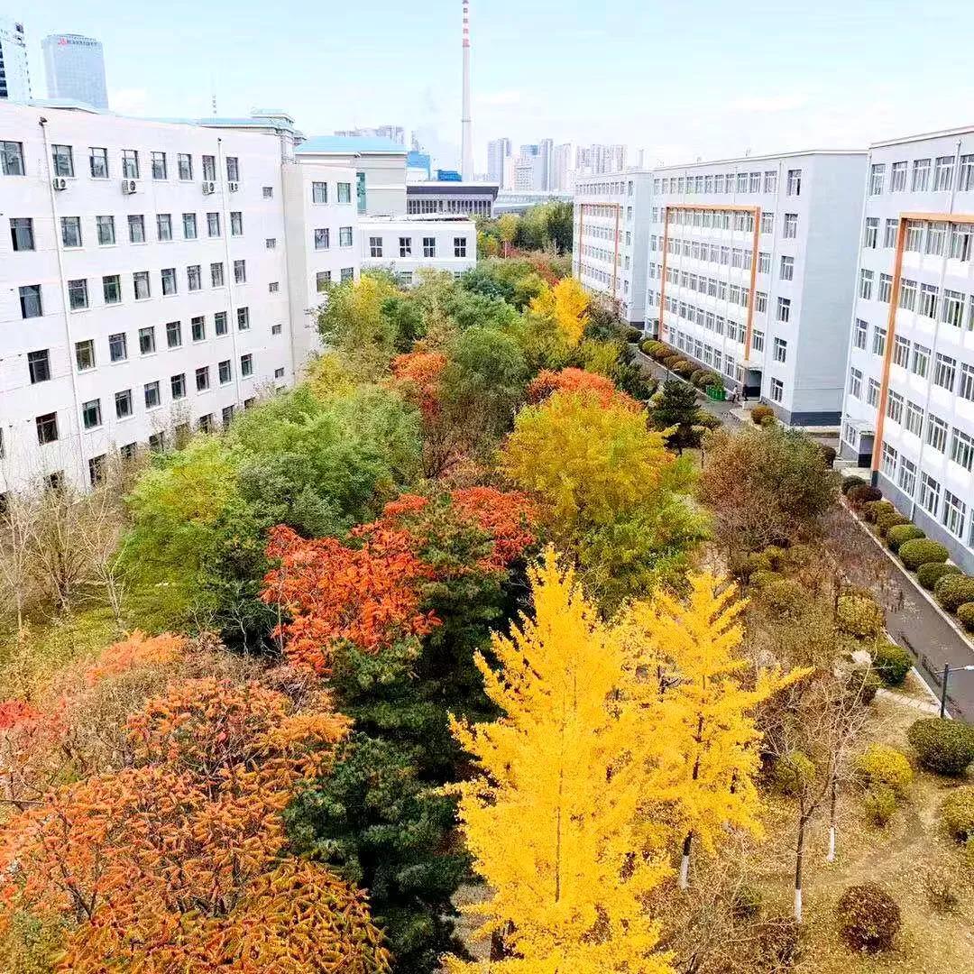 沈阳大学怎么样(沈阳大学怎么样 听说在当地风评不好)