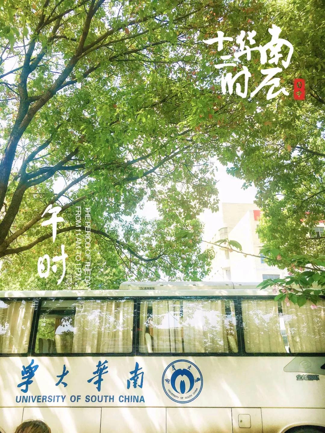 坐标湖南，影视剧取景地，高颜值食堂吃遍网红美食！这所高校