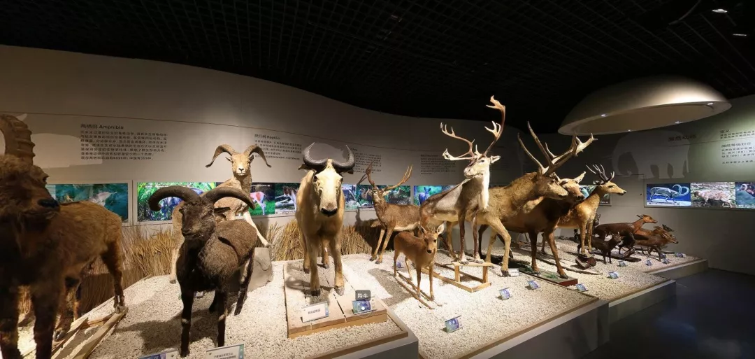 高考倒计时10天！全国最高