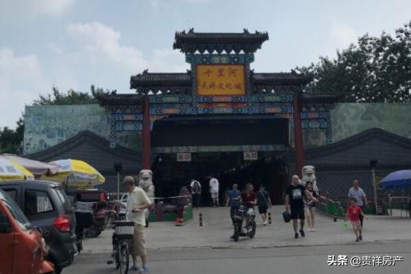 北京的宠物市场（北京最大的宠物市场）