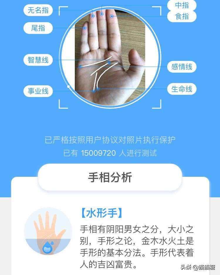 用手机也能看手相了，超准！