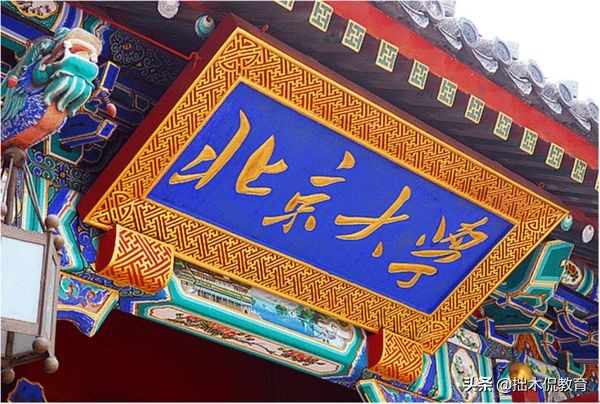 北大博士后要求品学兼优，翟天临如何通过审核，北京大学不能甩锅