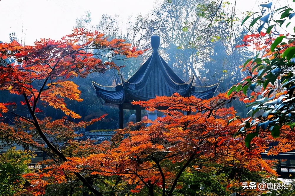 南京的旅游景点有哪些最出名（南京旅游十大必去景点）