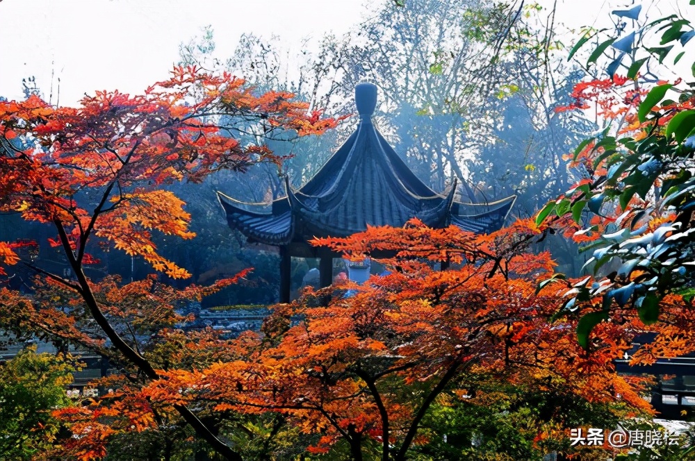 南京十大旅游必去景点，先收藏起来，以免需要的时候找不到了