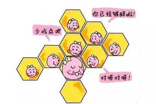 促进卵泡发育,吃什么好?