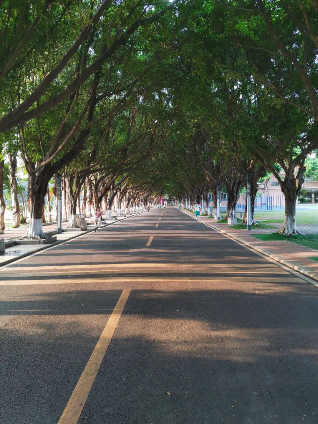 不仅有保送，带你走进广州这所最多元却很低调的高中