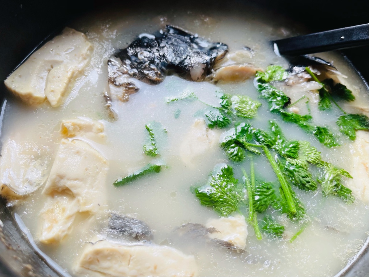 鱼头豆腐汤怎么做好吃又简单(浓白鱼头豆腐汤3点关键)