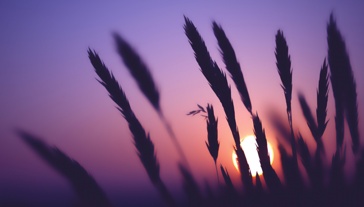 金牛座爱上一个人的时候，会是怎么样的？