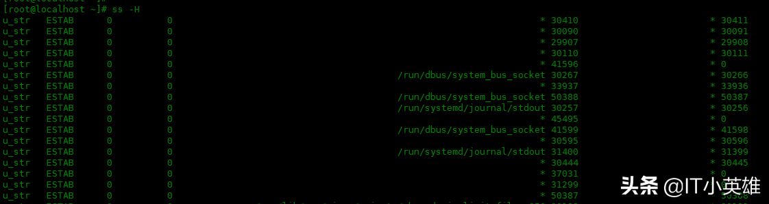 Linux 中 ss 命令的使用實例