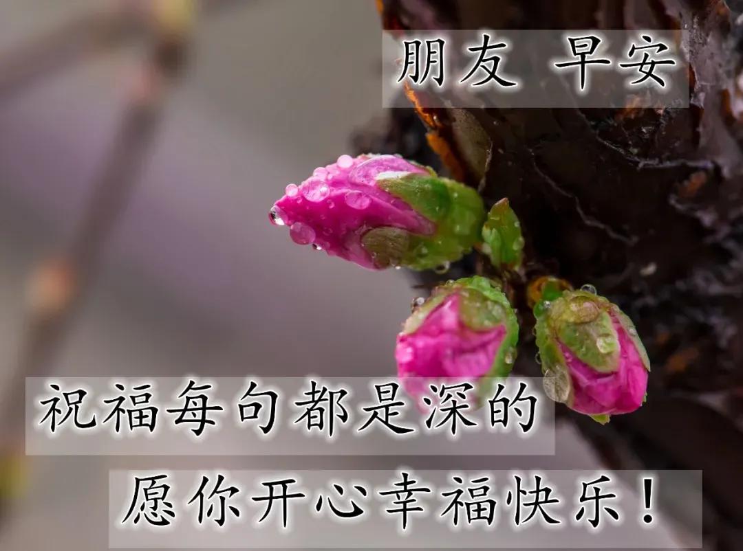 美女表情包：真正的绝望，是内心的迷茫