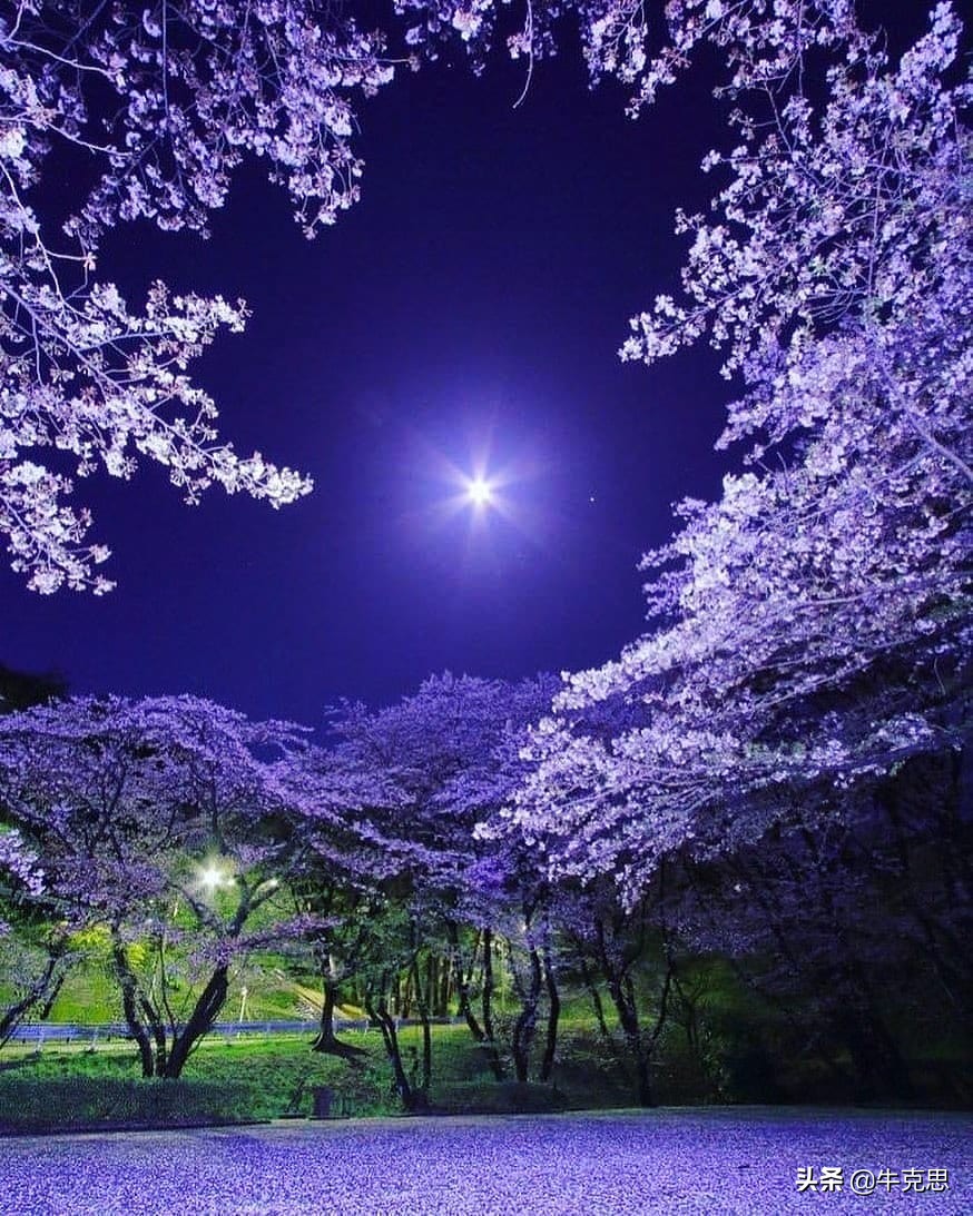 机关工作，就是办文办会办事，没想到培训这件事还有这么多学问