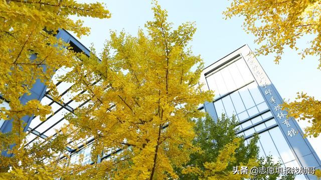 这所师范大学，真牛！一半以上学院就业率100%，但分数要求特别高