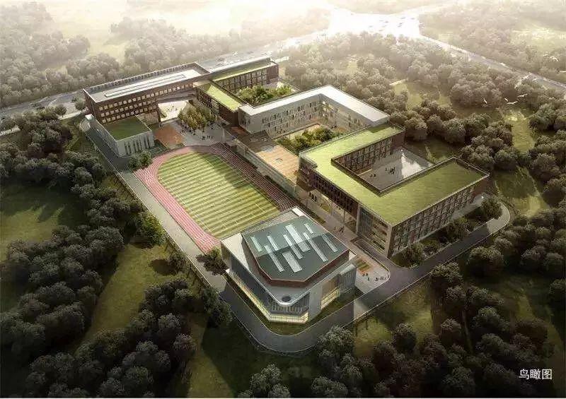 亳州城南有了这些学校，会成为安徽省状元最多的城市吗？