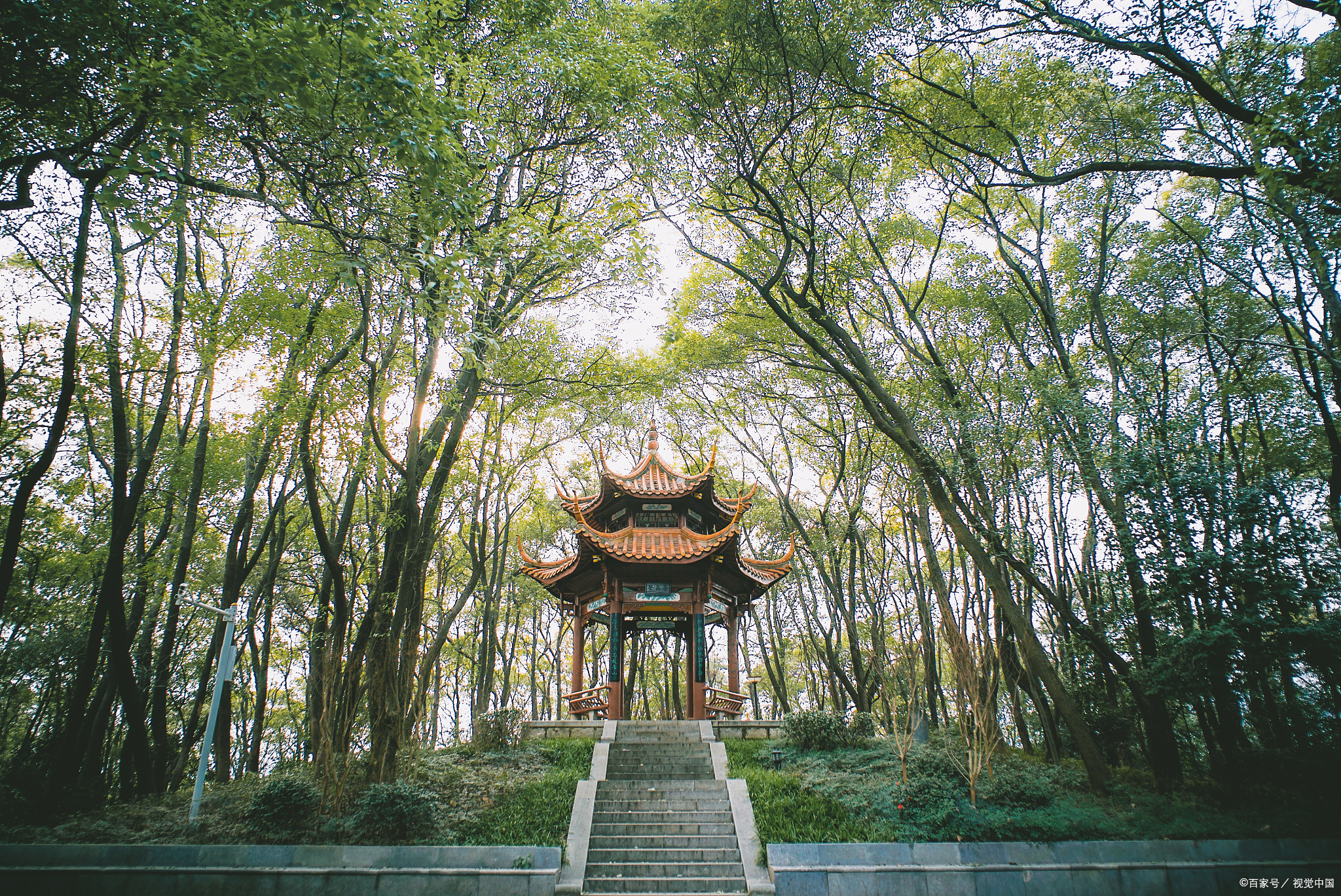 强推这所隐身“985”：超公平！给分绝！题目难度还在降