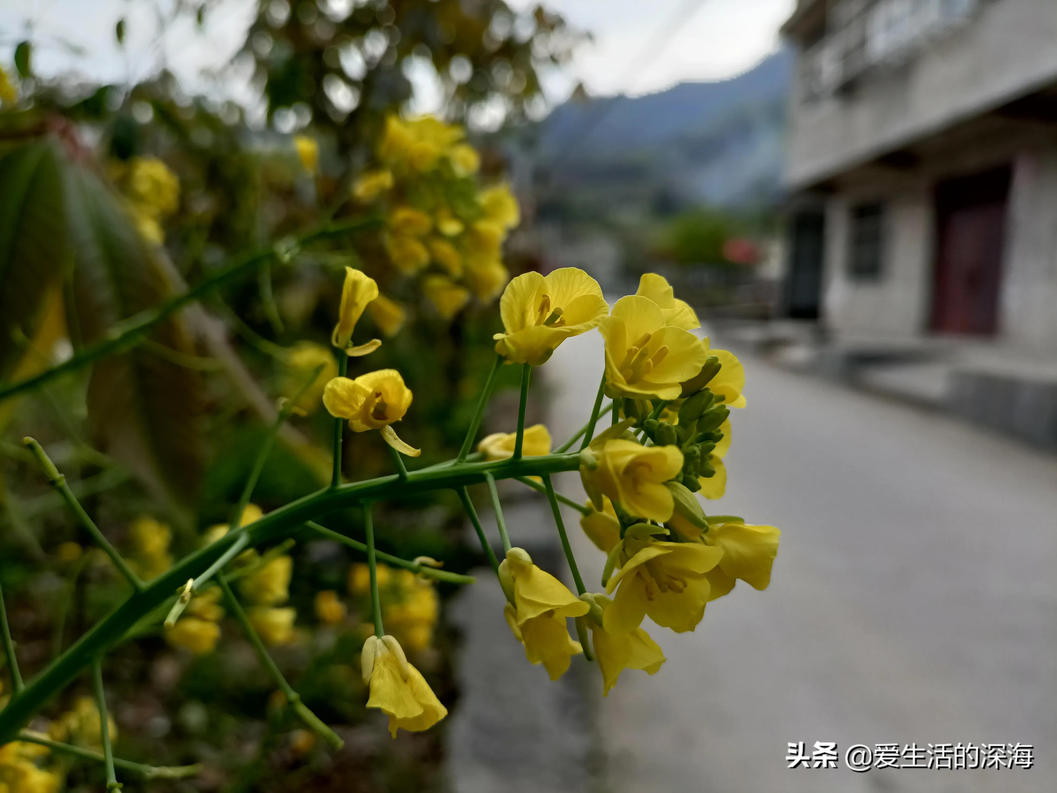 陕南地区的丧葬程序，习俗和禁忌