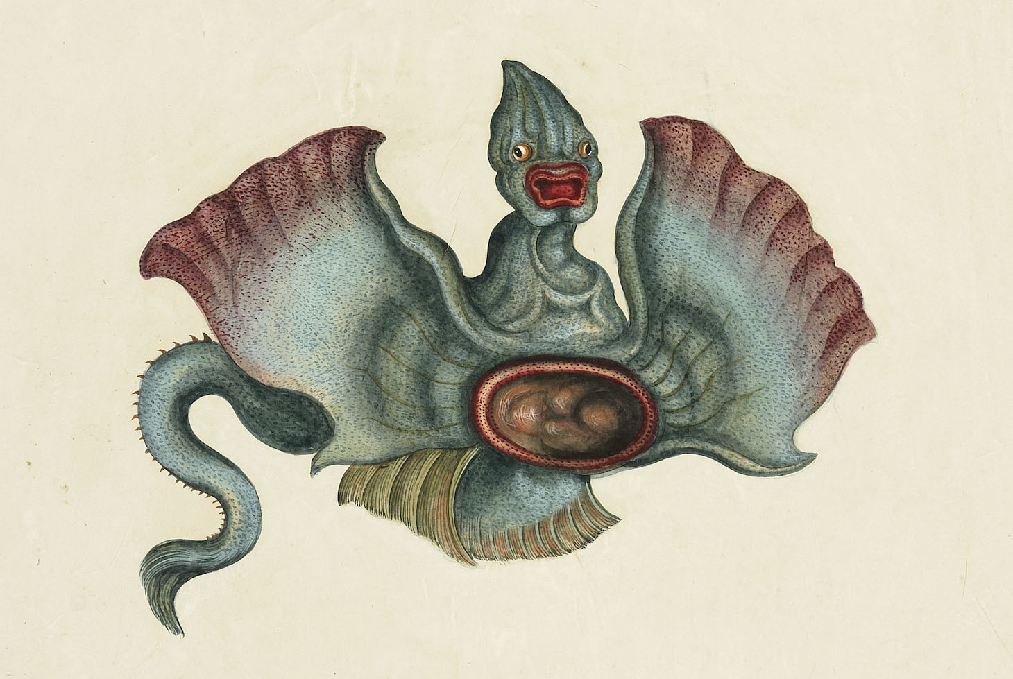 《山海经》里的"人面鱼身"是儒艮吗?或许另有答案