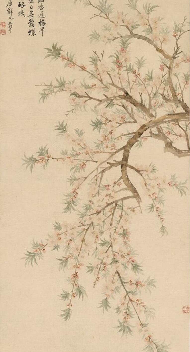 杜甫：我为花狂，只是怕花谢人老啊｜周末读诗
