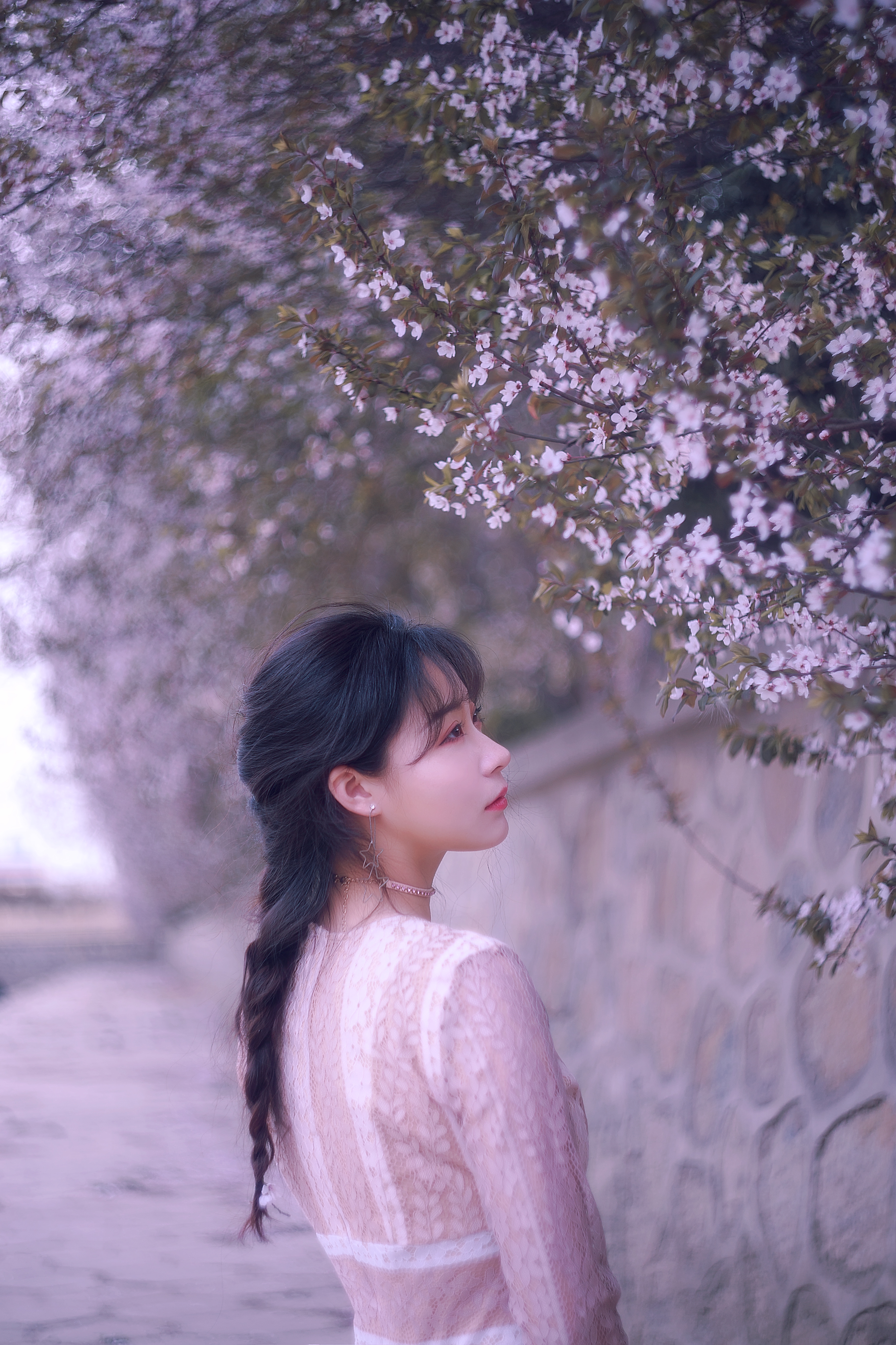 还有几天就开始，这是今年你最不该错过的美景