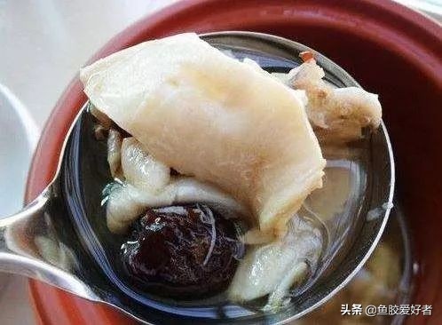 涨知识 | 史上最全花胶分类、挑选攻略