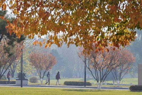 从高校名称上能够区分“公办”与“民办”？