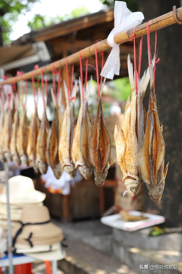 悅精彩旅拍順德逢簡水鄉美食攻略,吃過番尋味!