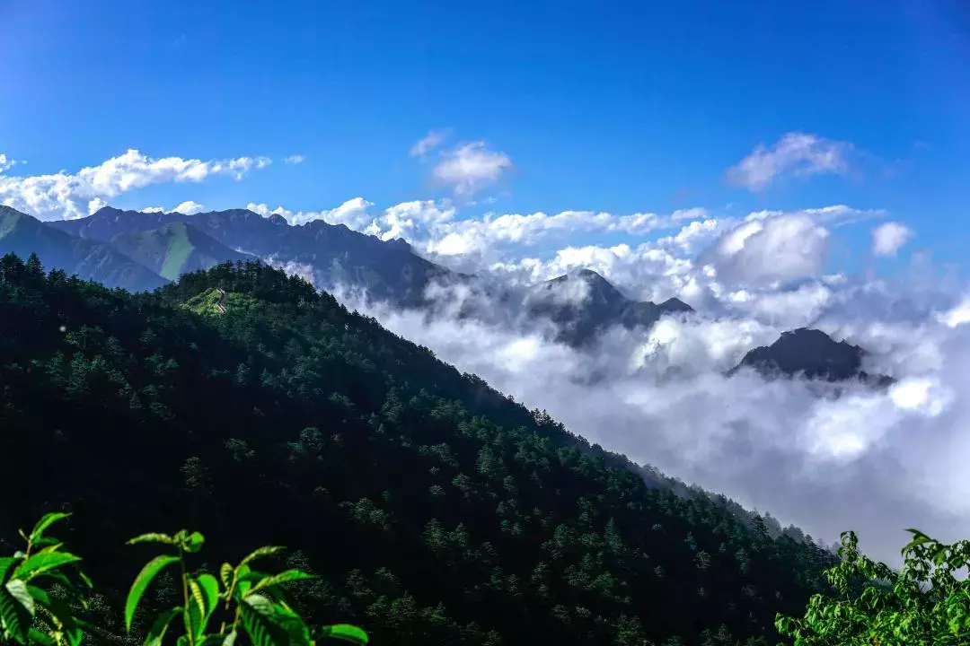 凭准考证免门票！成都周边这8大景区放大招，最长持续到9月
