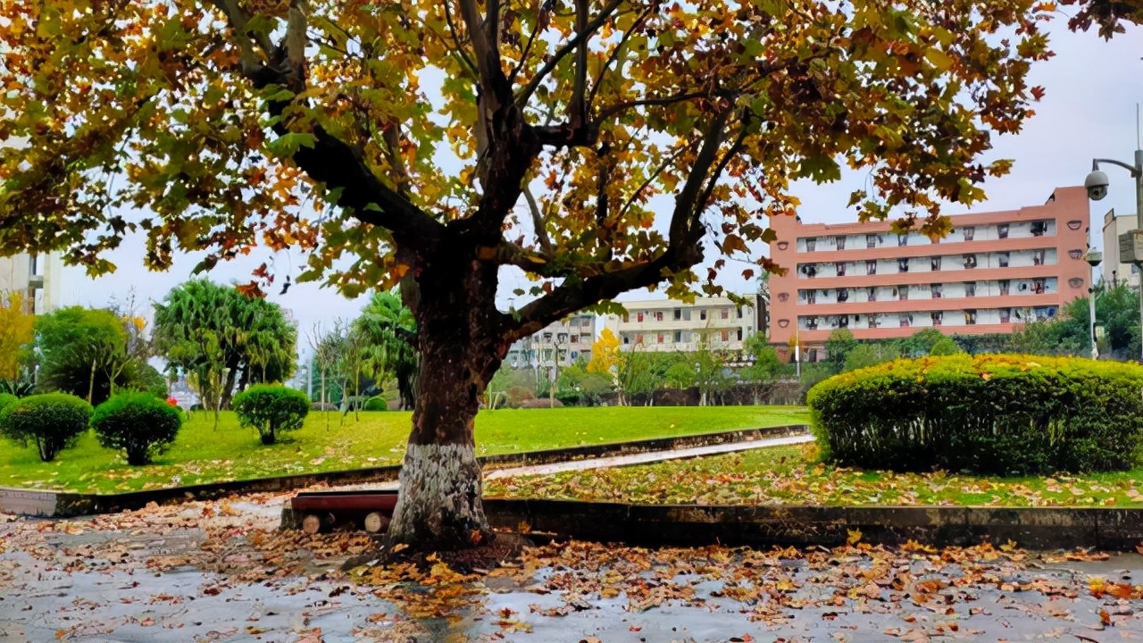 四川省7所师范高校录取分：其中4所理科500分以下也能考上