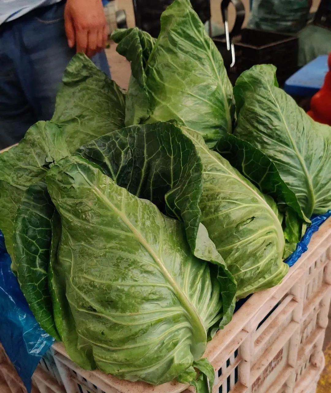 上海江桥：西兰花、白菜、青甘蓝价格回升，胡萝卜、白萝卜、卷心菜等表现平平