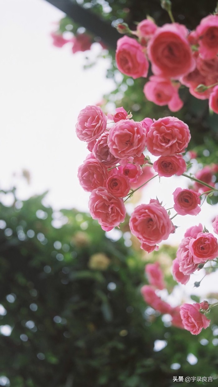 夜生活说说朋友圈有哪些?