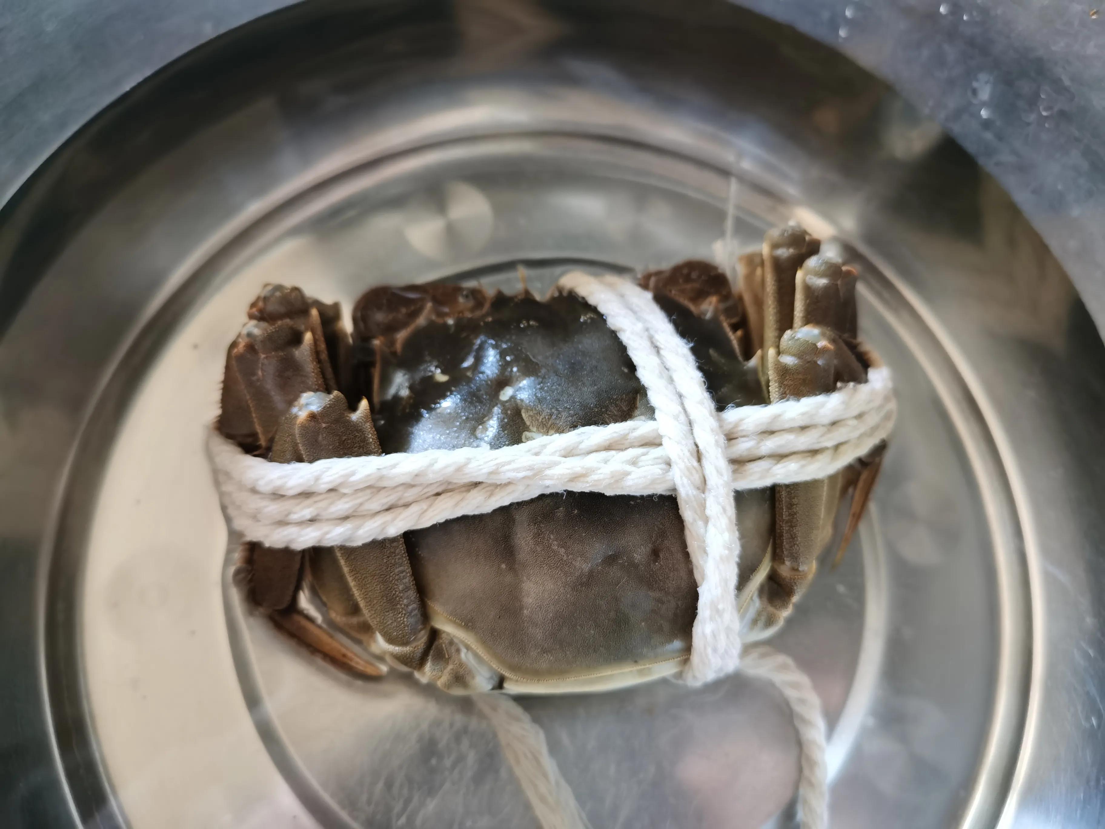 螃蟹怎么冷冻长期保存，煮熟和活的螃蟹如何保存？