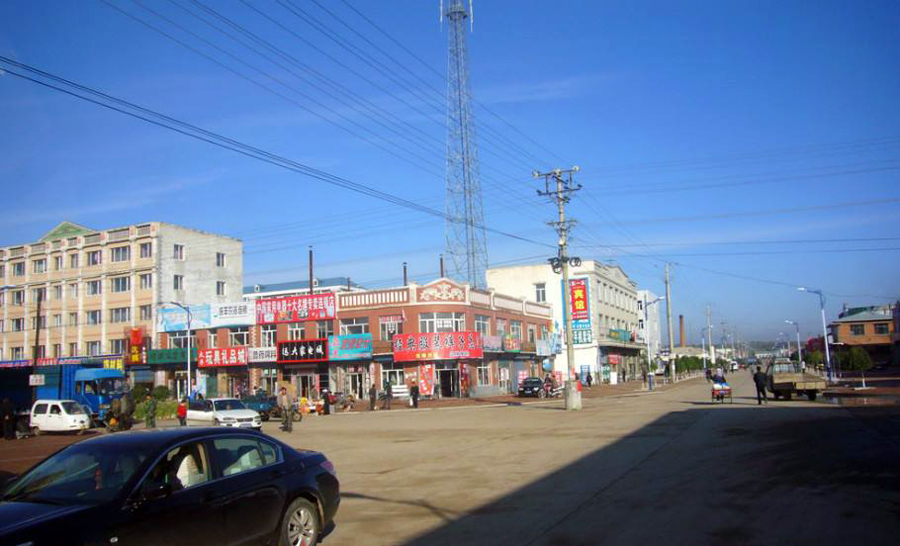 东兴镇地处木兰县最北端,和绥化市庆安县接壤,和哈尔滨巴彦县相邻.